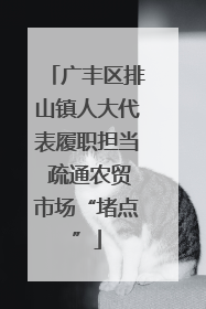 广丰区排山镇人大代表履职担当 疏通农贸市场“堵点”