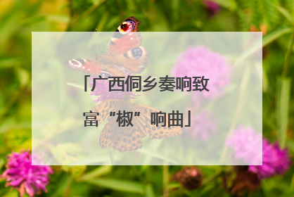 广西侗乡奏响致富“椒”响曲