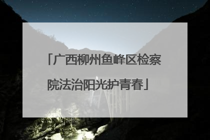 广西柳州鱼峰区检察院法治阳光护青春