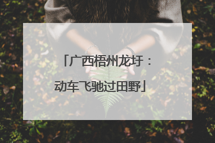 广西梧州龙圩：动车飞驰过田野