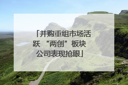 并购重组市场活跃 “两创”板块公司表现抢眼