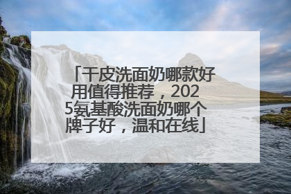 干皮洗面奶哪款好用值得推荐,2025氨基酸洗面奶哪个牌子好,温和在线