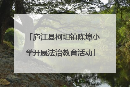 庐江县柯坦镇陈埠小学开展法治教育活动