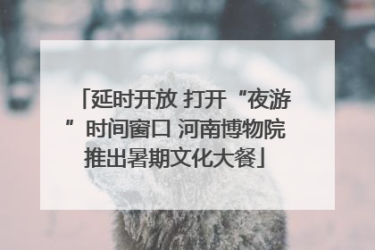 延时开放 打开“夜游”时间窗口 河南博物院推出暑期文化大餐