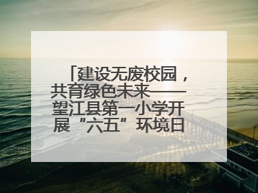 建设无废校园，共育绿色未来——望江县第一小学开展“六五”环境日主题活动