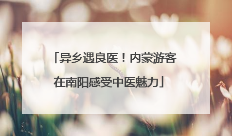 异乡遇良医！内蒙游客在南阳感受中医魅力