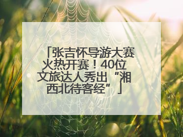 张吉怀导游大赛火热开赛！40位文旅达人秀出“湘西北待客经”