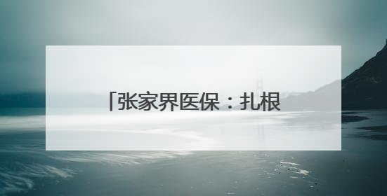 张家界医保：扎根一线“找问题”，守住基金“安全线”
