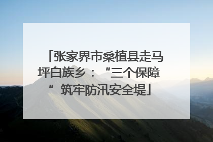 张家界市桑植县走马坪白族乡：“三个保障”筑牢防汛安全堤