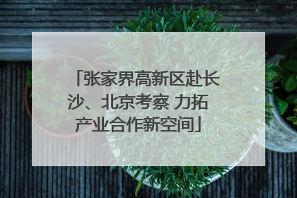 张家界高新区赴长沙、北京考察 力拓产业合作新空间