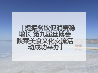 提振餐饮促消费稳增长 第九届丝博会陕菜美食文化交流活动成功举办