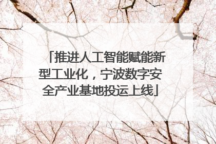 推进人工智能赋能新型工业化，宁波数字安全产业基地投运上线