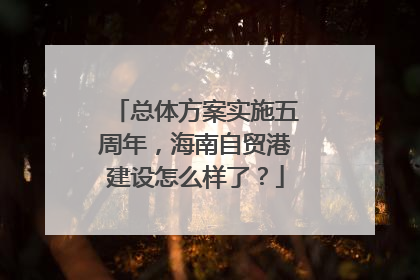 总体方案实施五周年，海南自贸港建设怎么样了？