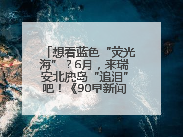 想看蓝色“荧光海”？6月，来瑞安北麂岛“追泪”吧！《90早新闻》来了