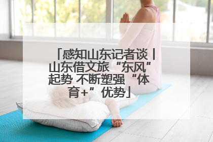 感知山东记者谈丨山东借文旅“东风”起势 不断塑强“体育+”优势