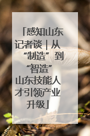 感知山东记者谈｜从“制造”到“智造” 山东技能人才引领产业升级