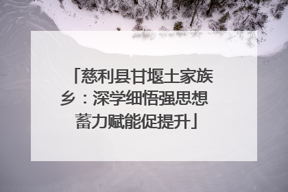 慈利县甘堰土家族乡：深学细悟强思想 蓄力赋能促提升
