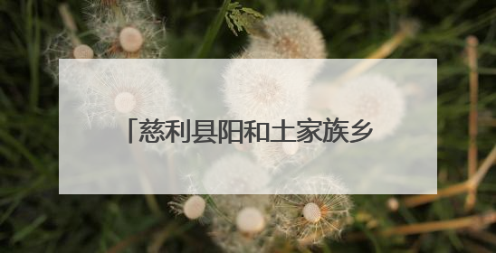 慈利县阳和土家族乡：以“迅”应“汛” 为群众撑起安全伞