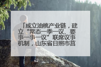 成立油桃产业链，建立“常态一季一议、要事一事一议”联席议事机制，山东省日照市莒县果庄镇——13个党小组“全周期”育果