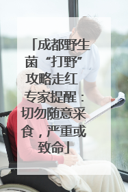 成都野生菌“打野”攻略走红 专家提醒：切勿随意采食，严重或致命