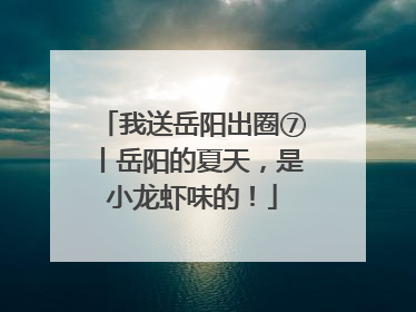 我送岳阳出圈⑦丨岳阳的夏天，是小龙虾味的！