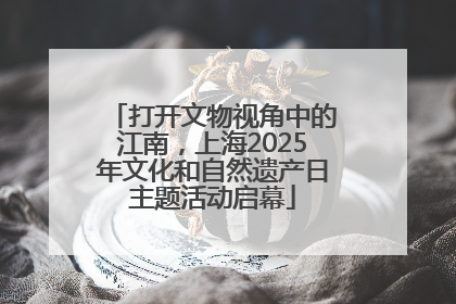 打开文物视角中的江南，上海2025年文化和自然遗产日主题活动启幕