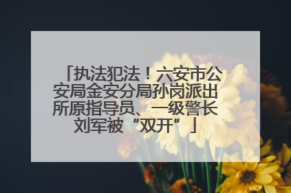 执法犯法！六安市公安局金安分局孙岗派出所原指导员、一级警长刘军被“双开”