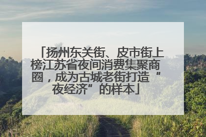 扬州东关街、皮市街上榜江苏省夜间消费集聚商圈，成为古城老街打造“夜经济”的样本