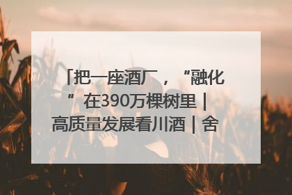 把一座酒厂，“融化”在390万棵树里｜高质量发展看川酒｜舍得酒｜舍得酒业｜舍得老酒｜沱牌酒