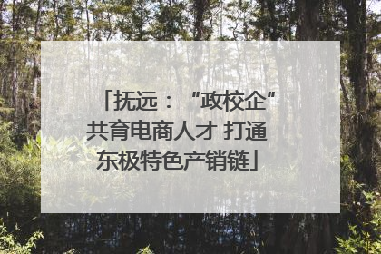 抚远：“政校企”共育电商人才 打通东极特色产销链
