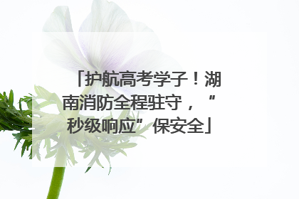 护航高考学子！湖南消防全程驻守，“秒级响应”保安全