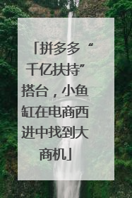 拼多多“千亿扶持”搭台，小鱼缸在电商西进中找到大商机
