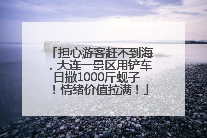 担心游客赶不到海，大连一景区用铲车日撒1000斤蚬子！情绪价值拉满！