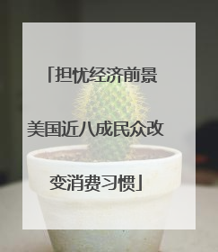 担忧经济前景 美国近八成民众改变消费习惯