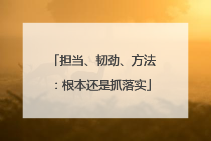 担当、韧劲、方法：根本还是抓落实