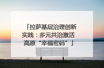拉萨基层治理创新实践：多元共治激活高原“幸福密码”