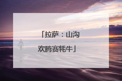 拉萨：山沟欢腾赛牦牛