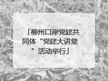 柳州口岸党建共同体“党建大讲堂”活动举行