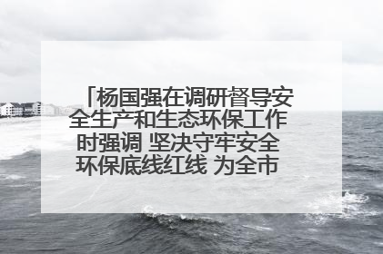 杨国强在调研督导安全生产和生态环保工作时强调 坚决守牢安全环保底线红线 为全市经济社会高质量发展提供坚强保障