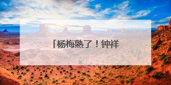 杨梅熟了！钟祥长滩镇收获“舌尖上的惊喜”