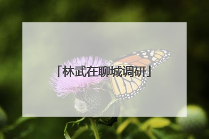 林武在聊城调研