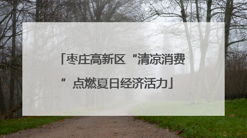 枣庄高新区“清凉消费”点燃夏日经济活力
