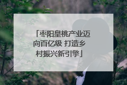 枣阳皇桃产业迈向百亿级 打造乡村振兴新引擎