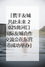 携手友城 共赴未来 2025黄河口国际友城合作交流会在东营市成功举办