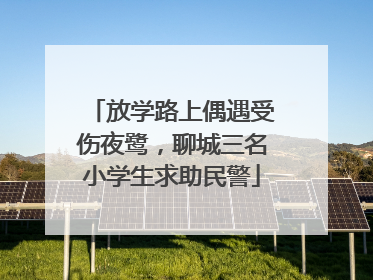 放学路上偶遇受伤夜鹭，聊城三名小学生求助民警