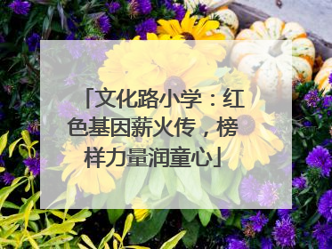 文化路小学：红色基因薪火传，榜样力量润童心