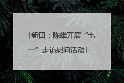新田：陈雄开展“七一”走访慰问活动