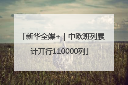 新华全媒+｜中欧班列累计开行110000列