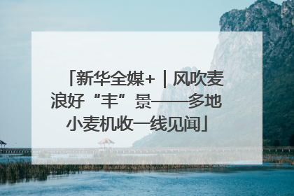 新华全媒+｜风吹麦浪好“丰”景——多地小麦机收一线见闻