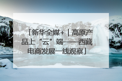 新华全媒+｜高原产品上“云”端——西藏电商发展一线观察